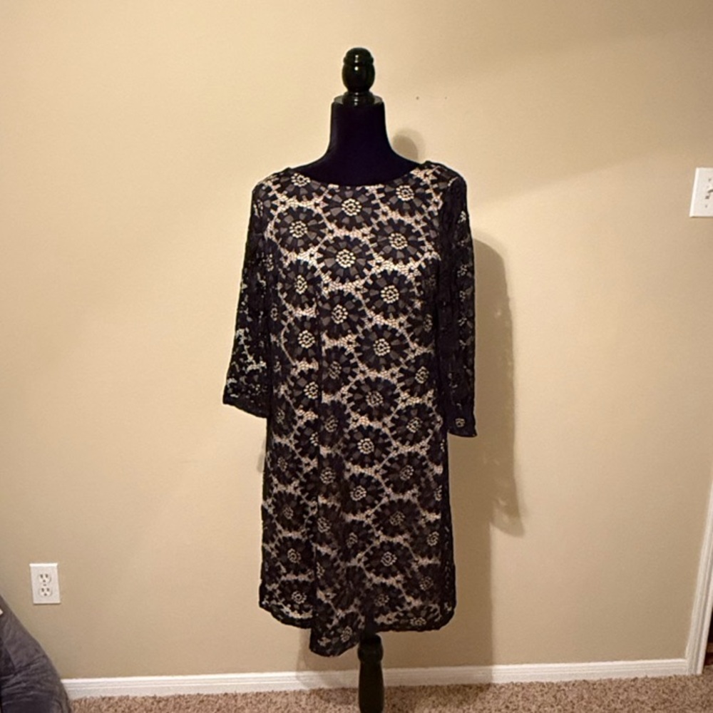 Elegant Black and Cream Lace Dress